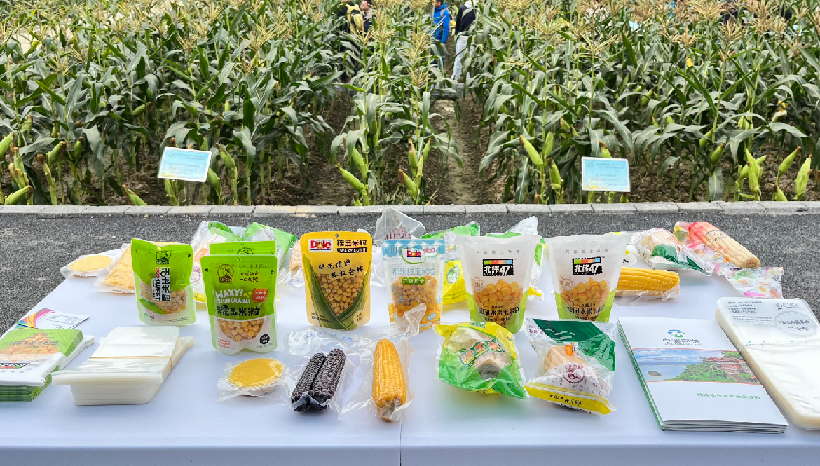 未标题-1_画板 1 副本.jpg